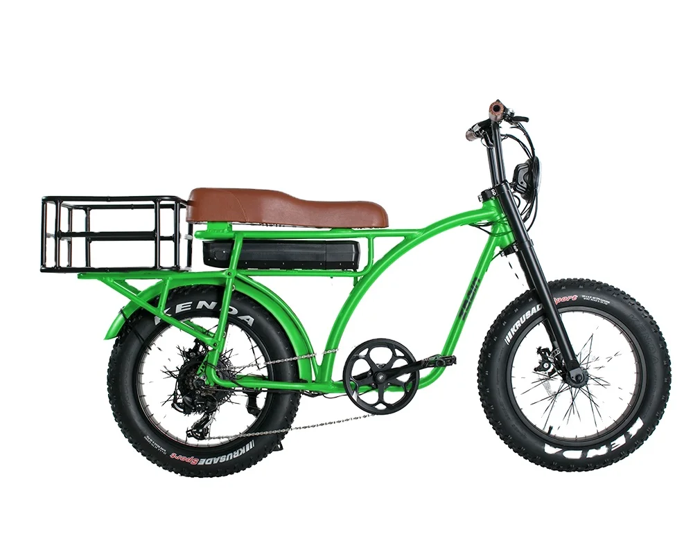 Two-wheel electric multi-purpose cargo bike bicycle 500w  750W fat tire ebike