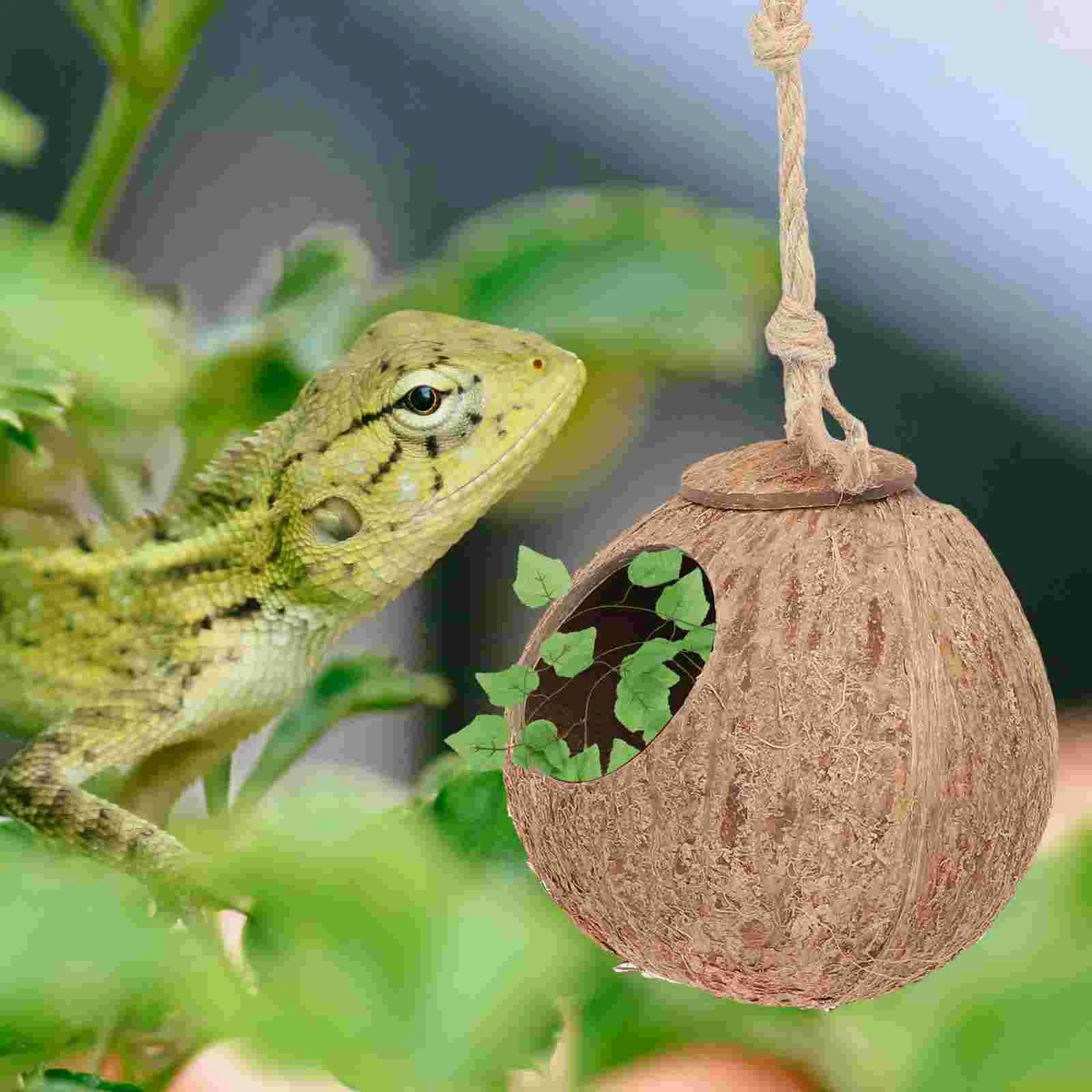 Coconut Shell Nest Vine Set Reptiles Sleeping Supply Hideout House Pet Bed Hanging Lizard Baby Toy