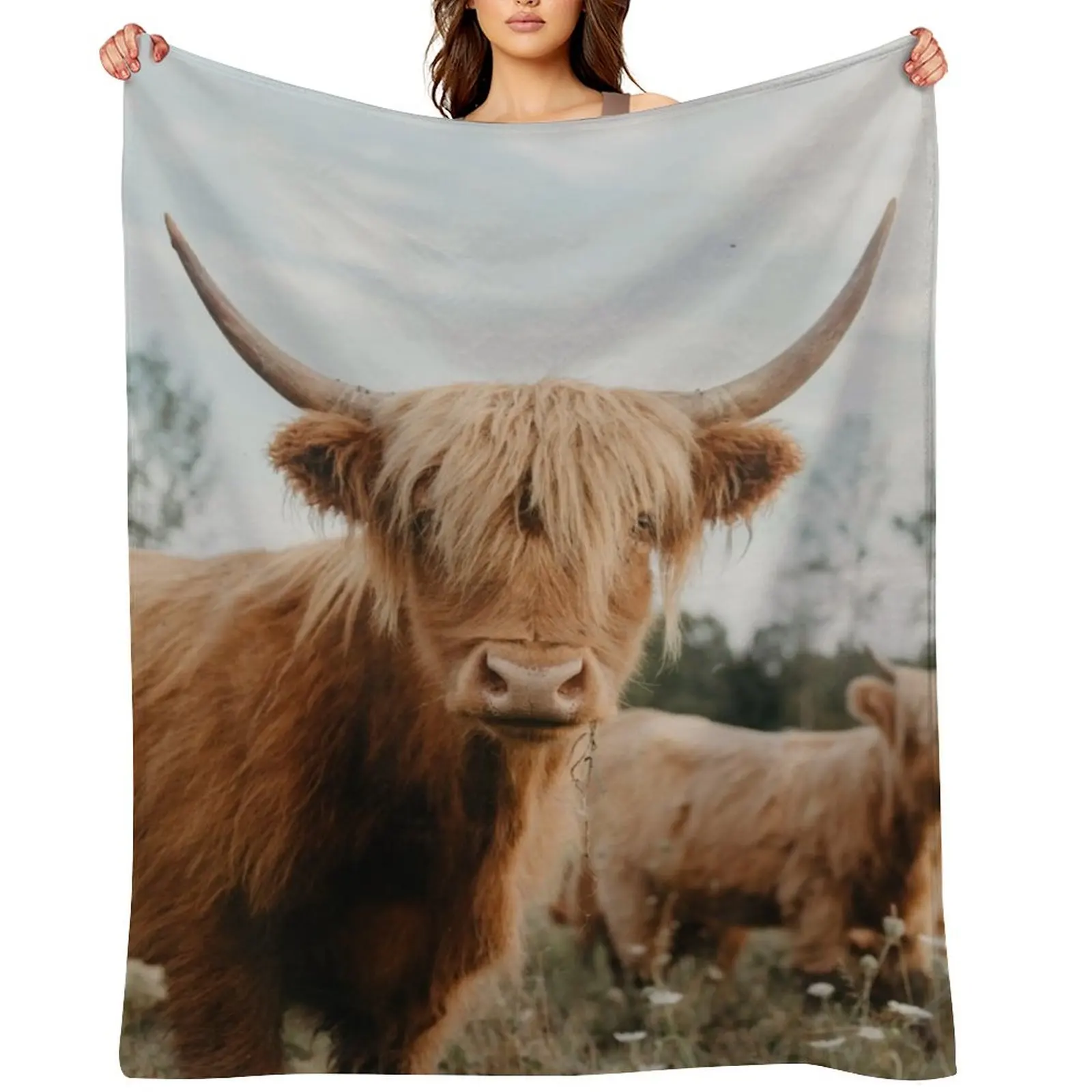

Curious Highland Cow Throw Blanket Moving Multi-Purpose Blankets For Sofas Thins Blankets