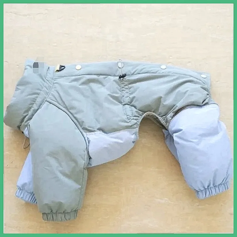Windproof Dog Winter Coat, Cold Weather Snowsuit with Color Blocks for Small Medium Dogs (Characters: 74)