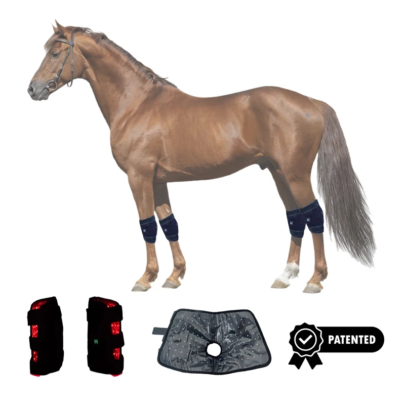 

Pulse Wireless Horse Head Leg Light Therapy 660nm 850nm Equine Therapy Red Light Therapy For Horse