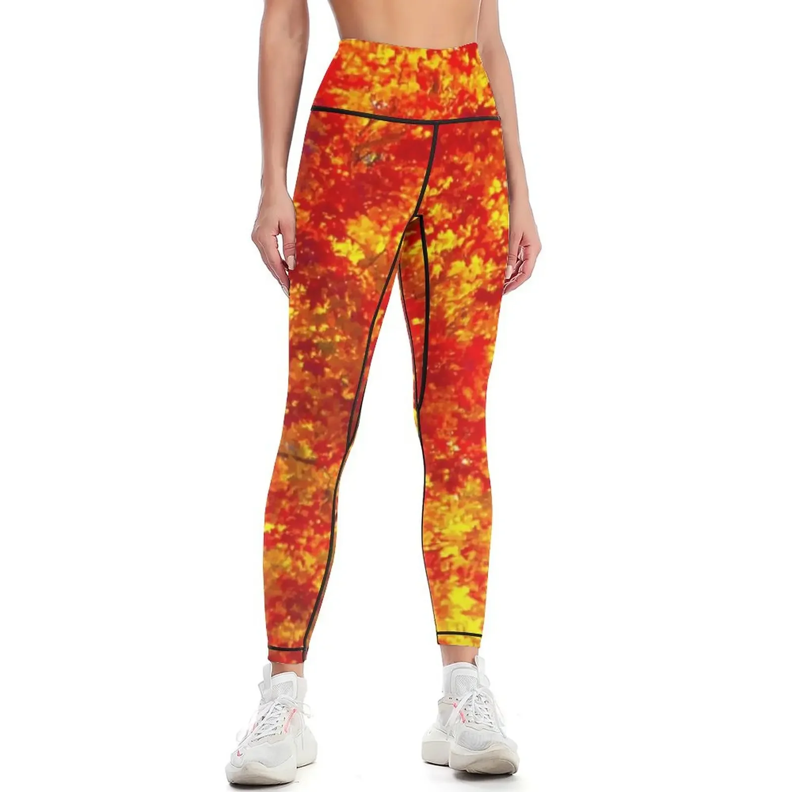 

Orange Maple Tree Photography Yellow Trees Autumn Woods Fall Leggings legging push up workout shorts Womens Leggings