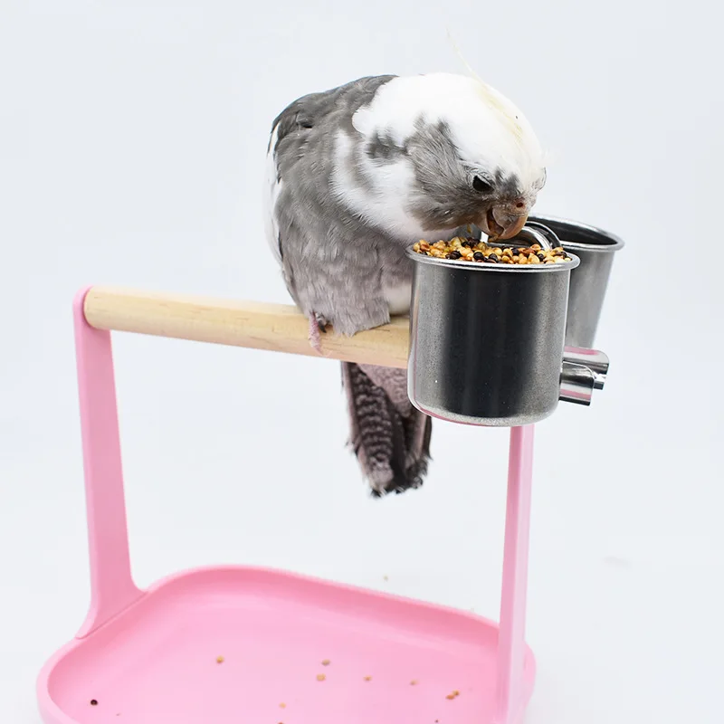 Parrot stand pole tabletop small stand bird stand stick bird stand food cup platform training stand stick habitat bird supplies