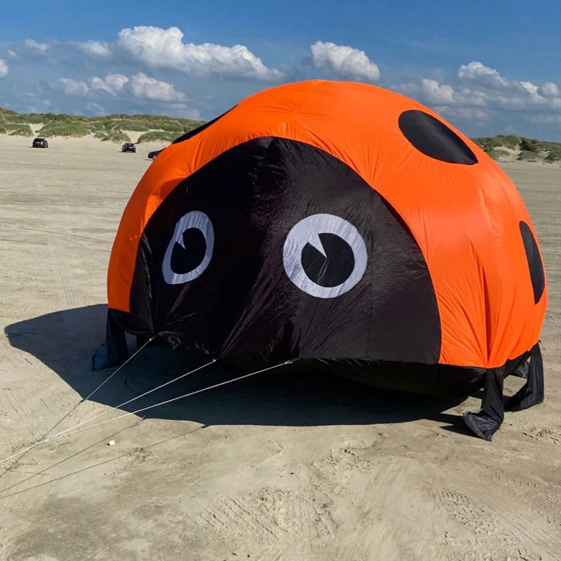 Aquilone coccinella aquiloni morbidi per bambini può camminare non volare giochi da giardino all'aperto in nylon ripstop giocattolo sportivo Giocattoli gonfiabili kitesurf