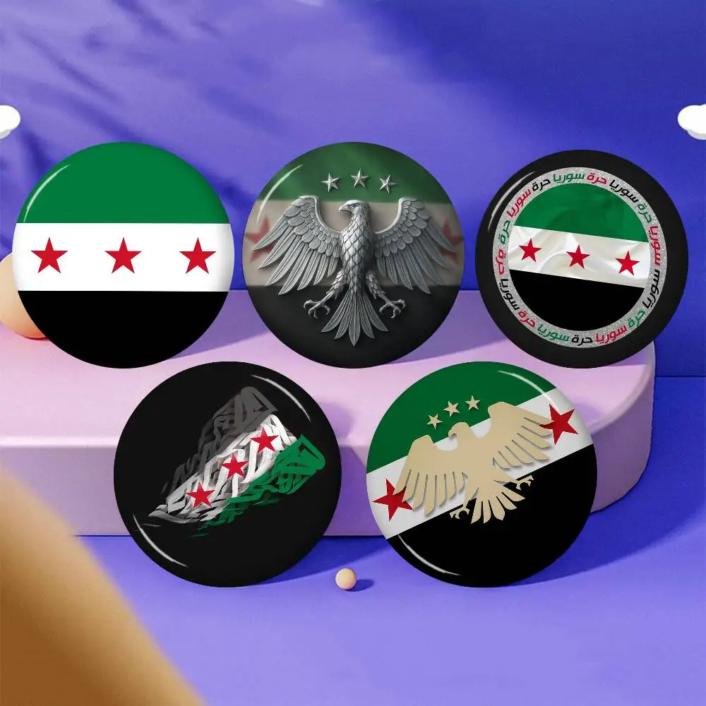 Eagle Syrian Logo Flag Creative Tinplate Soft Button Pins Animal Icon Brooch Lapel Backpack Badge Accessories Pin