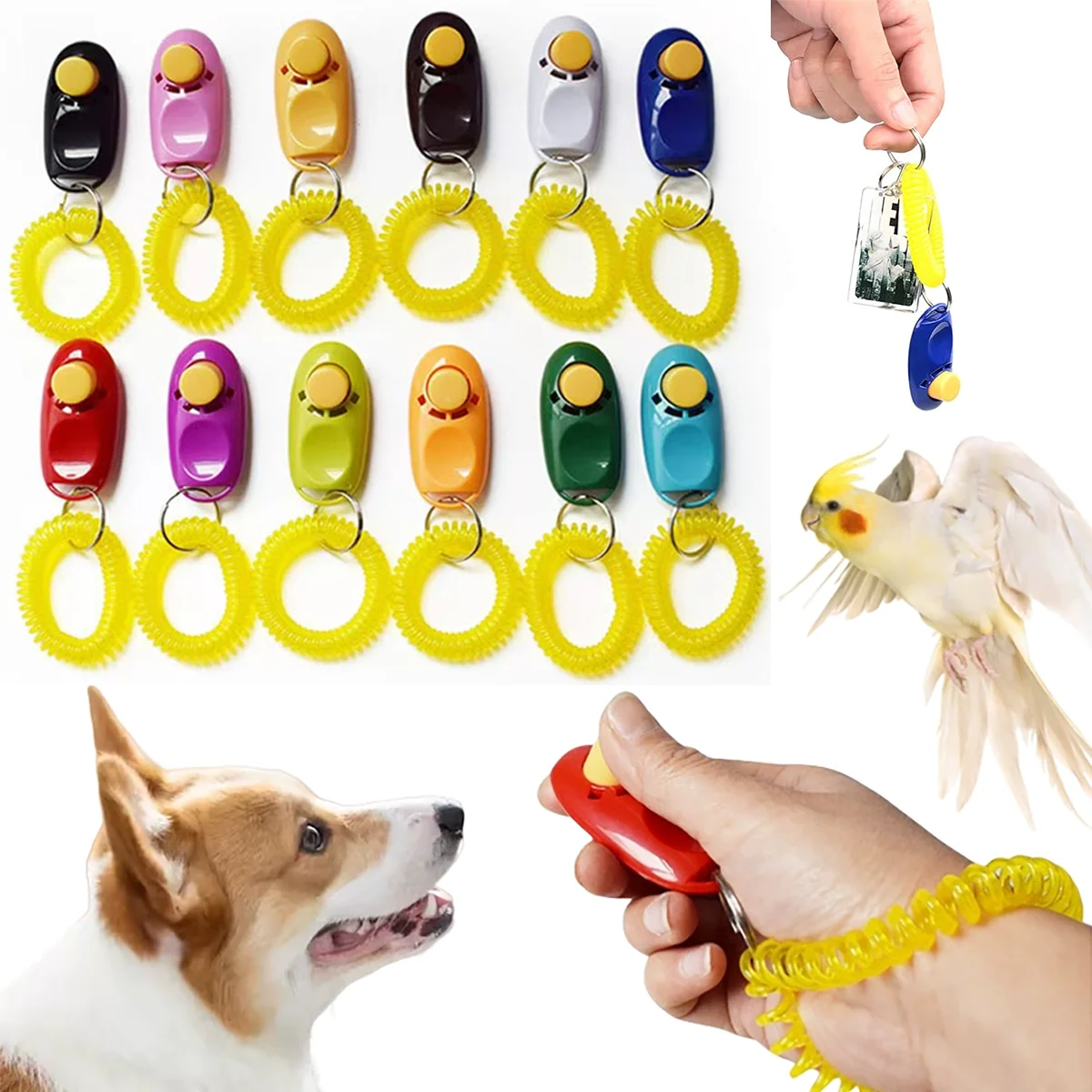 #3 Trending Pet Training Clicker Right Now