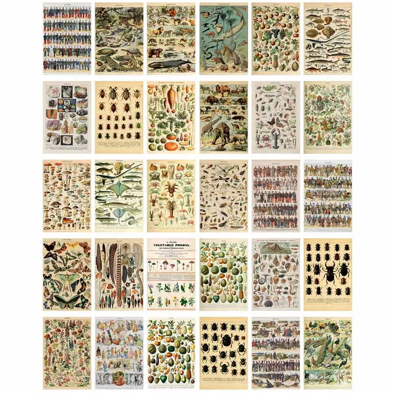 Kit de 30 cartes artisanales rétro à motifs floraux et papillons, illustrées de manière botanique, pour décoration murale, affiches, décoration de dortoir et de bar, et peinture artistique