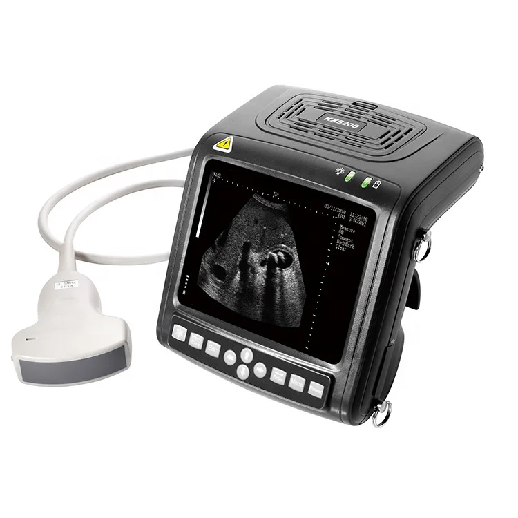 

KX-5200 Portable Pet Animal Vet Veterinary Ultrasound Machine for Animal Pregnancy Scanning