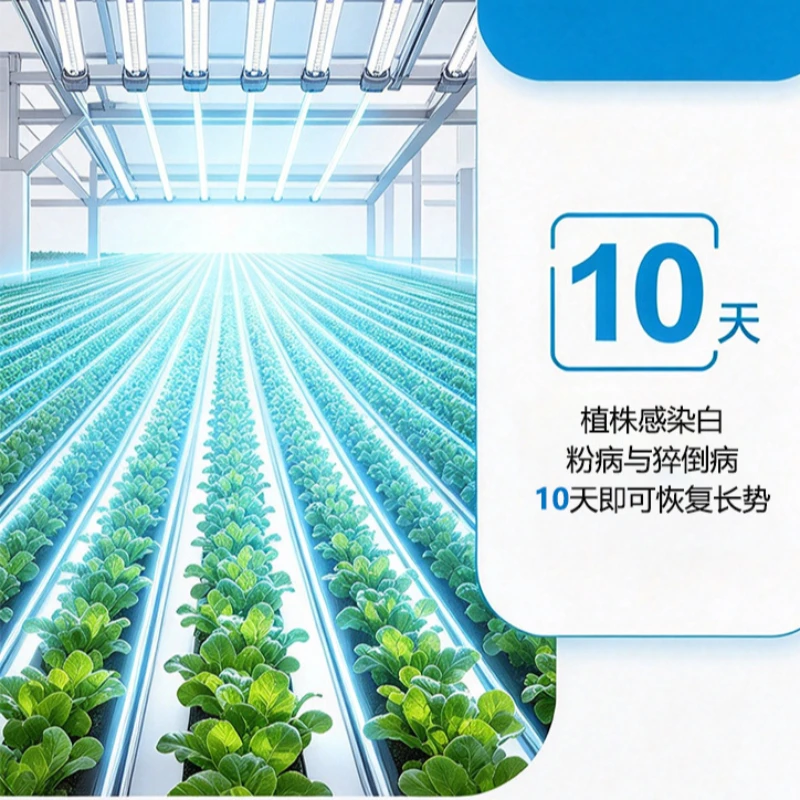 81-169個のledを使用した、全スペクトル植物育成ライト。100-277v対応。量子ボード搭載。水耕栽培用育成ボックス、温室、野菜栽培用照明。