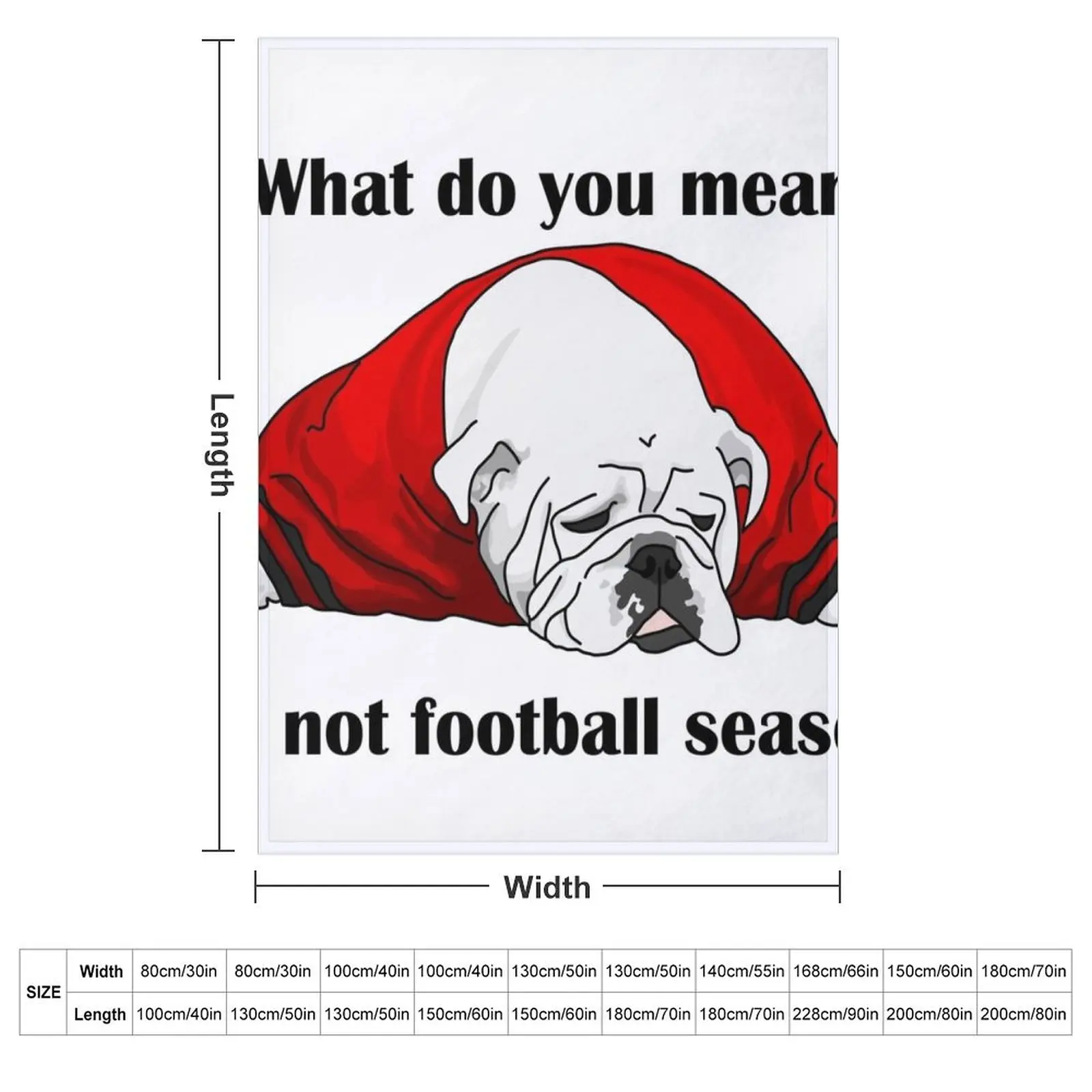 Can Football Season Be All Year? Throw Blanket christmas decoration Thin Furry for winter Bed covers Beach Blankets