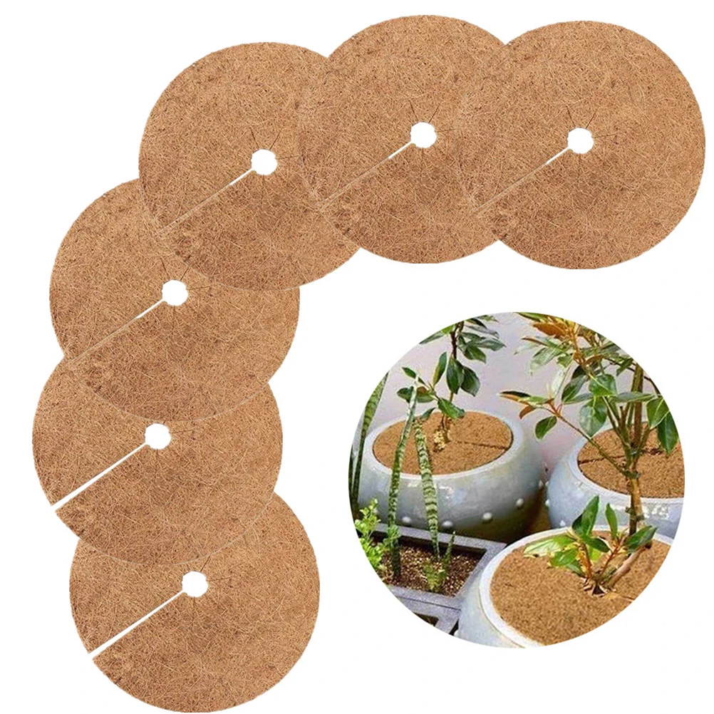 

6PCS Coconut Mulching Trays Flower Pot Pad Winter Protection For Plants Coconut Plant Protection Basin Mulching Frost Protection