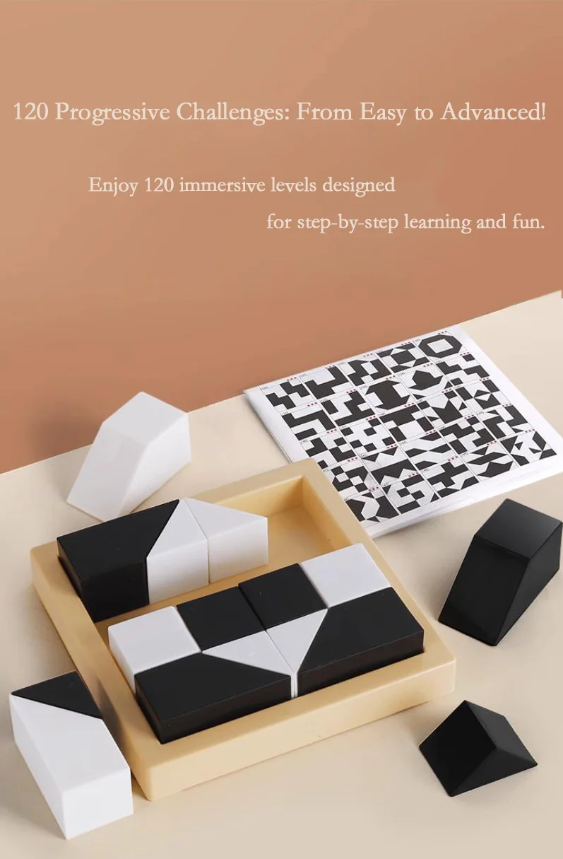 Black and White Building Blocks Puzzle Educational Toy for Kids Spatial Thinking Parent-Child Interactive Hidden Blocks Game Toy