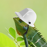 Chameleon Hat White Color Mini Safety Lovely Crawl Pet Small Head Decor Reptile Costume Accessory Creative Photo Prop
