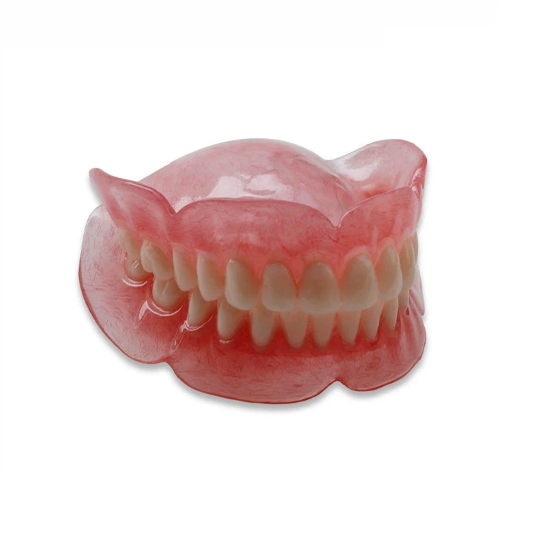 Denture Dental Teaching Model Simulation Tooth Model Preparation Practice Oral Full Denture Model Decoration