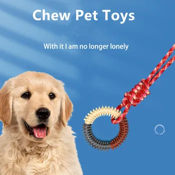 Spiked Dog Training Ring Toy 1