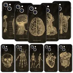 Anatomy Skeleton Chalkboard Body Heart Phone Case For iPhone 13 15 14 12 11 Pro MAX XR X SE XS 7 8 Plus Soft Protection Cover