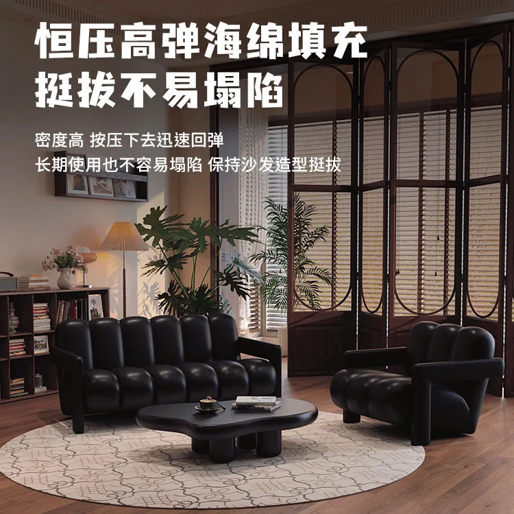 Retro, kain hitam, sofa, kemewahan ringan, rumah, ruang tamu, sofa kecil, apartemen