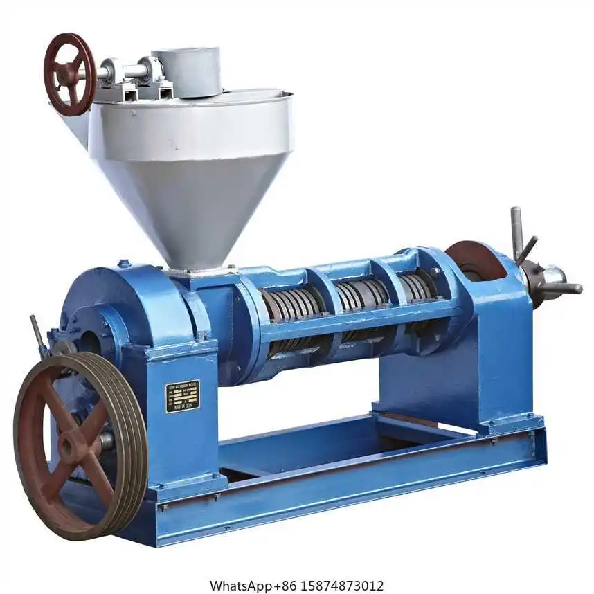 

New Type Seed Oil Extraction Machine Oil Expeller For Seeds Big Capacity Cold Coconut Oil Press Machine