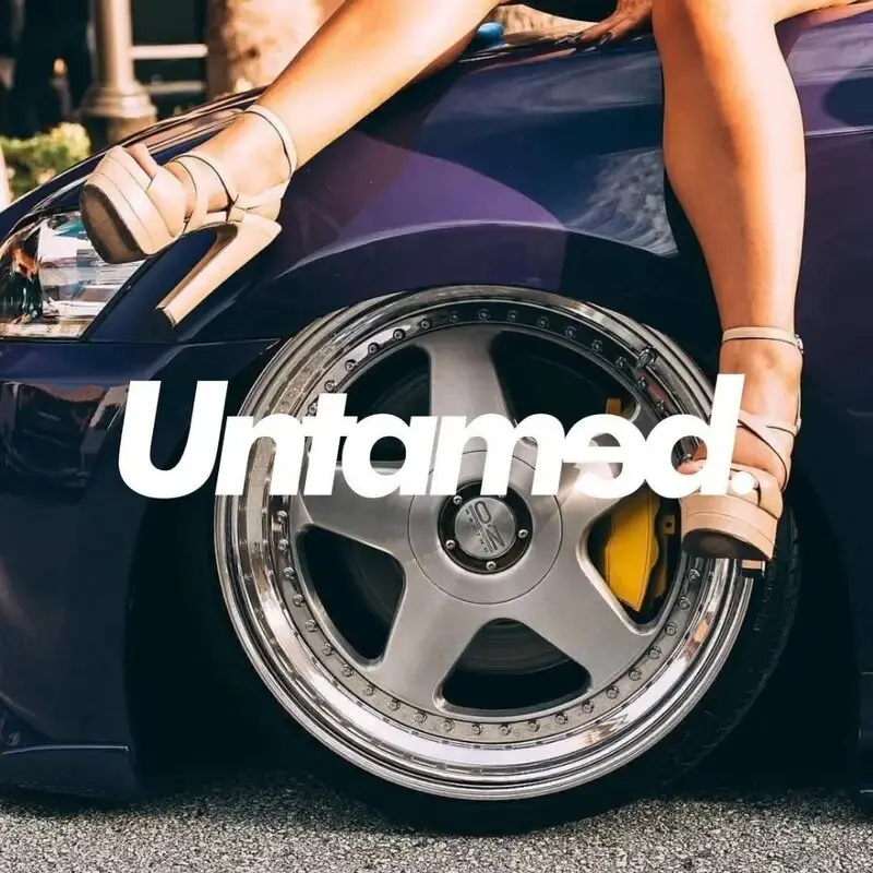 “Untamed”Stickers,creative&fashion with good look for your car,high quality sticker for cars trucks motorcycles &laptops!