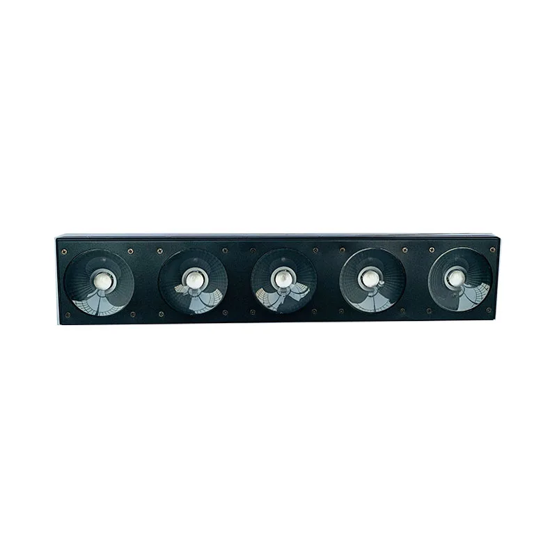 Professional Stage …