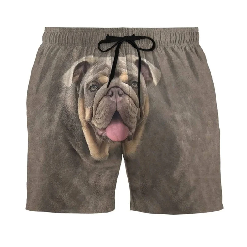 Calções de praia para cães com estampa 3D, calças curtas engraçadas, roupas com cordões, roupas esportivas ao ar livre, férias de verão, novos designs