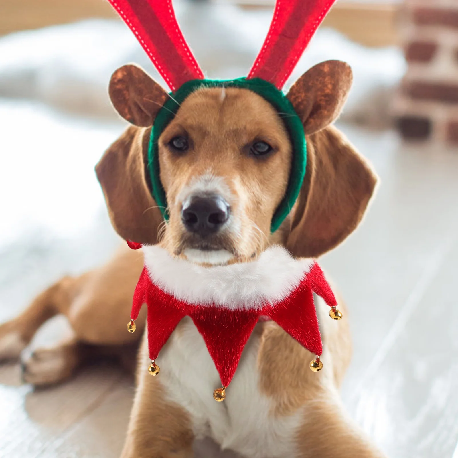 

Christmas Collar for Dogs Bell Designed Lightweight Color Pet Collar Holiday Dress Up Festive