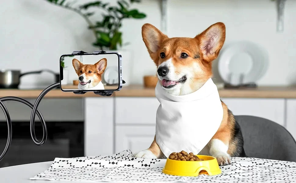 90 cm Telefonhalter Ständer Lazy Bracket Kopfstütze Bett 360 Flexible lange Arme Klemmhalterung für iPhone Samsung und 3,5 ~ 6,7 Zoll Gerät – Detail 7