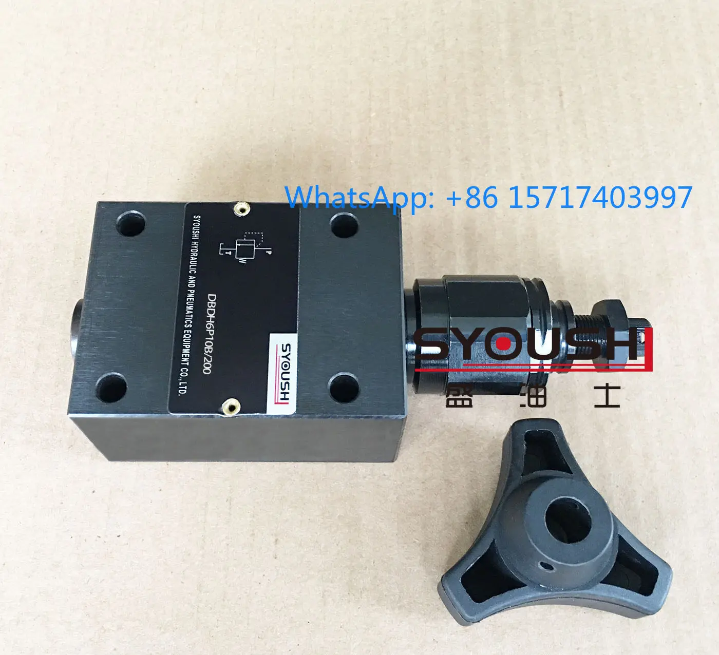 Direct Acting Relief Valve DBDS6P, DBDH6P10/2.5/5/10/20/31.5 in stock