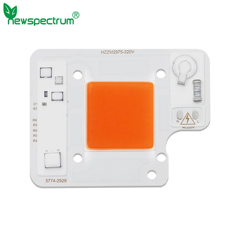 50W LED COB Chip 110V 220V Luminous Size 29X29mm High Brightness Full Spectrum For Outdoor Indoor Plant Seedling Hydroponice