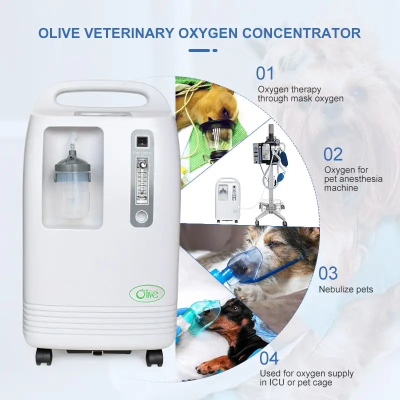 Pet Hospital  Machine Equipment Medical Grade  3liter  5liter 7liter 10liter  Concentrator For Dogs Cats