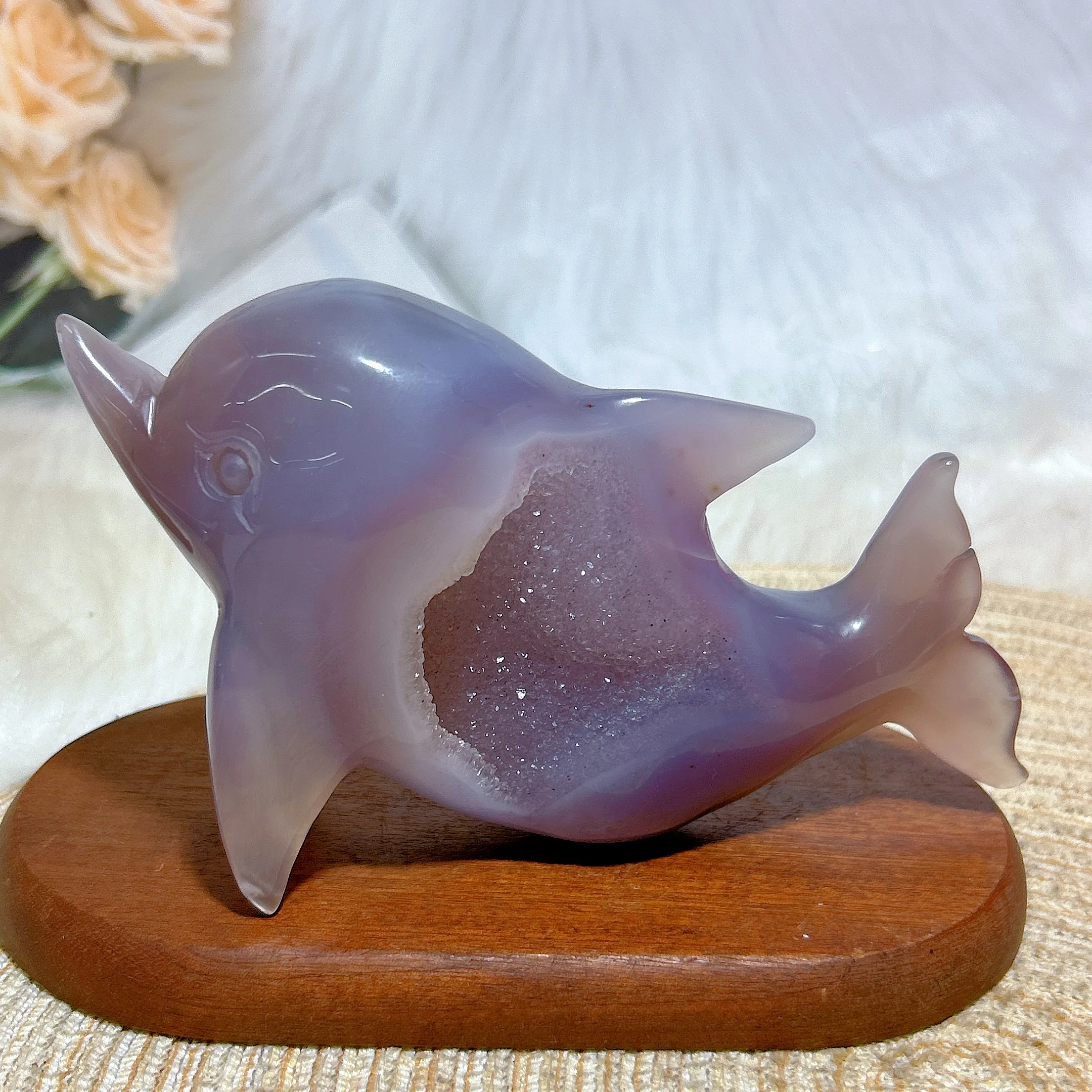Natural Crystal Agate Druzy Geode Dolphin Carving High Quality Healing Gemstones Energy Reiki Home Decorations Room Decor Gift
