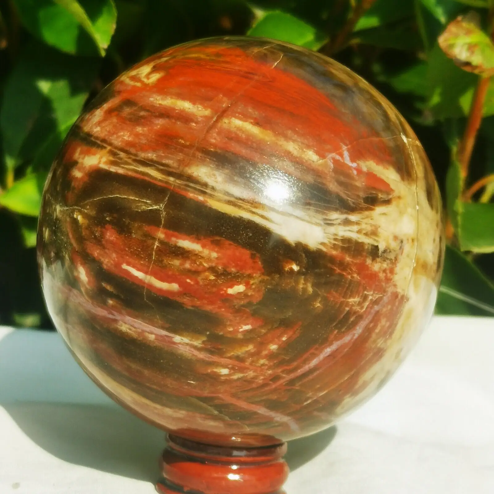 Natural Madagascar Petrified Wood Ball Polishing Quartz Crystals Ball Healing Reiki Energy Decoration