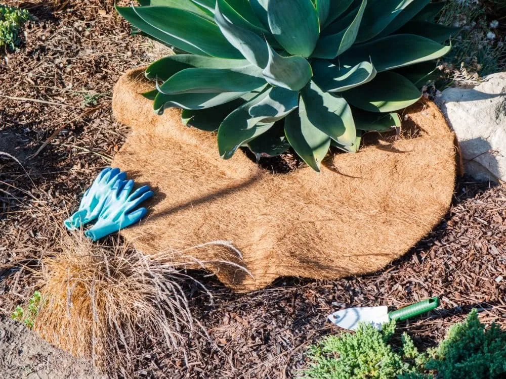 

12 Pcs 36 Inch Coconut Fiber Mulch Rings Tree Protector Weed Control Mat for Indoor Outdoor Plants