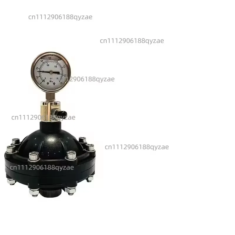 Pulsation Damper 0.35-4L DN15-DN50 Internal Thread Diaphragm Pulsation Dampener for Pumps Dosing System