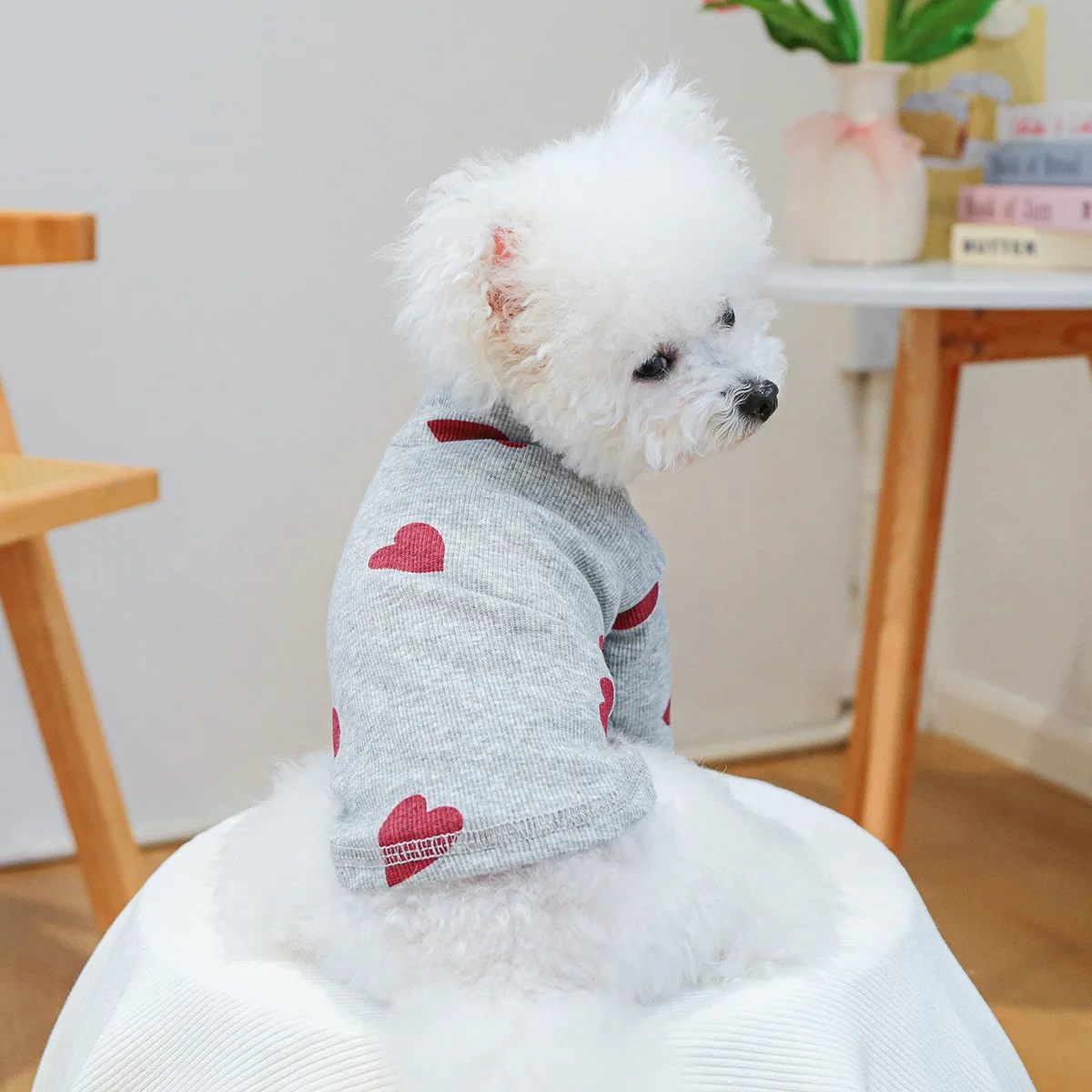 Pet Autumn and Winter Base Coat Cat Autumn and Winter Comfortable Home Sleepwear Dog Love Base Coat Two Foot Coat Puppy Clothes