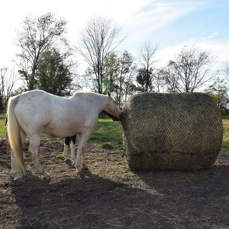 6x6ft Large Slow Feeder Hay Net Horse Round Bale Feeding Equipment
