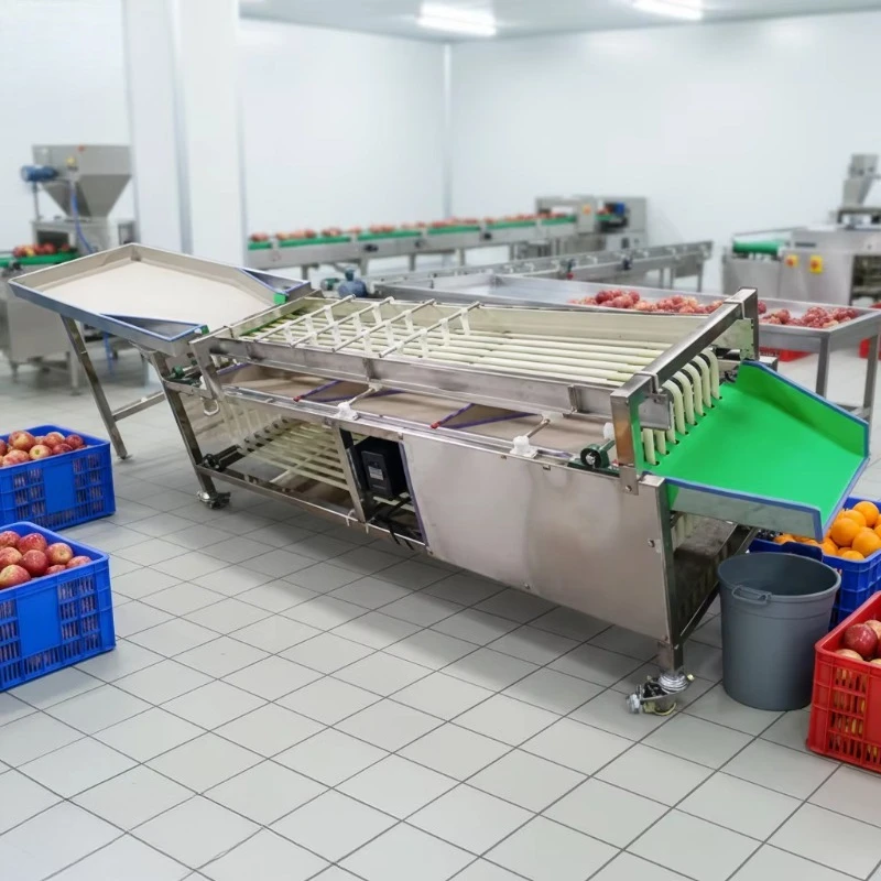 Fotografia 3: Máquina de Classificação de Frutas e Vegetais com Correia Transportadora