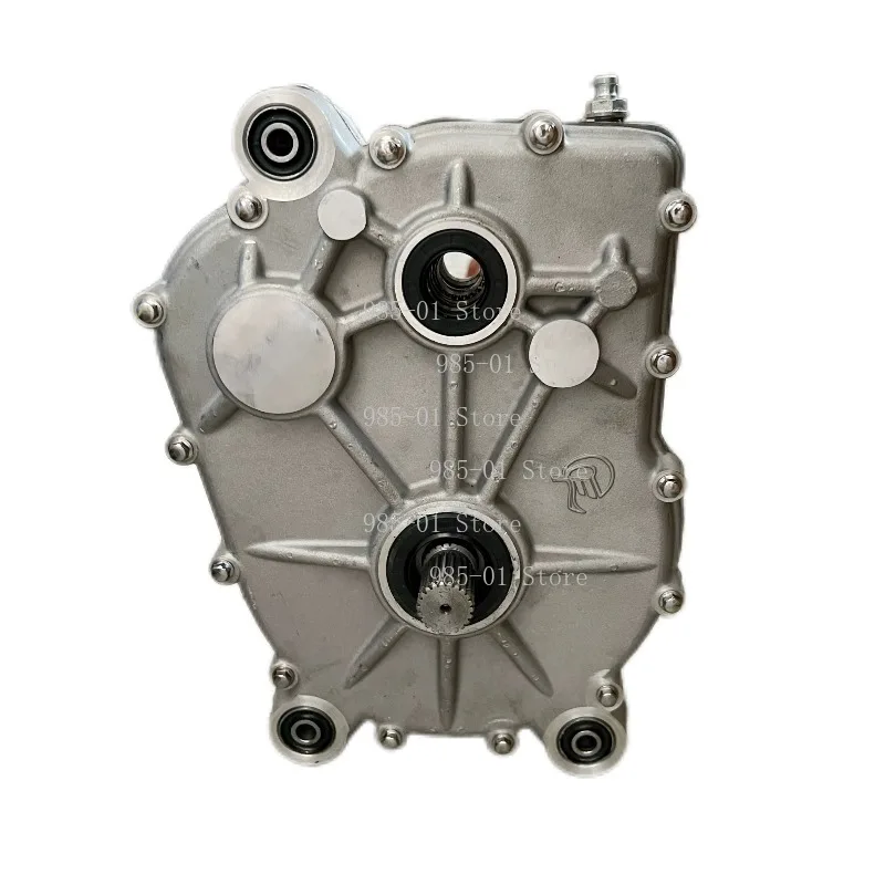 PGO250 BR250 Rear Differential Gearbox Best Price Transmission Box for ATV Go Kart Buggy Quad