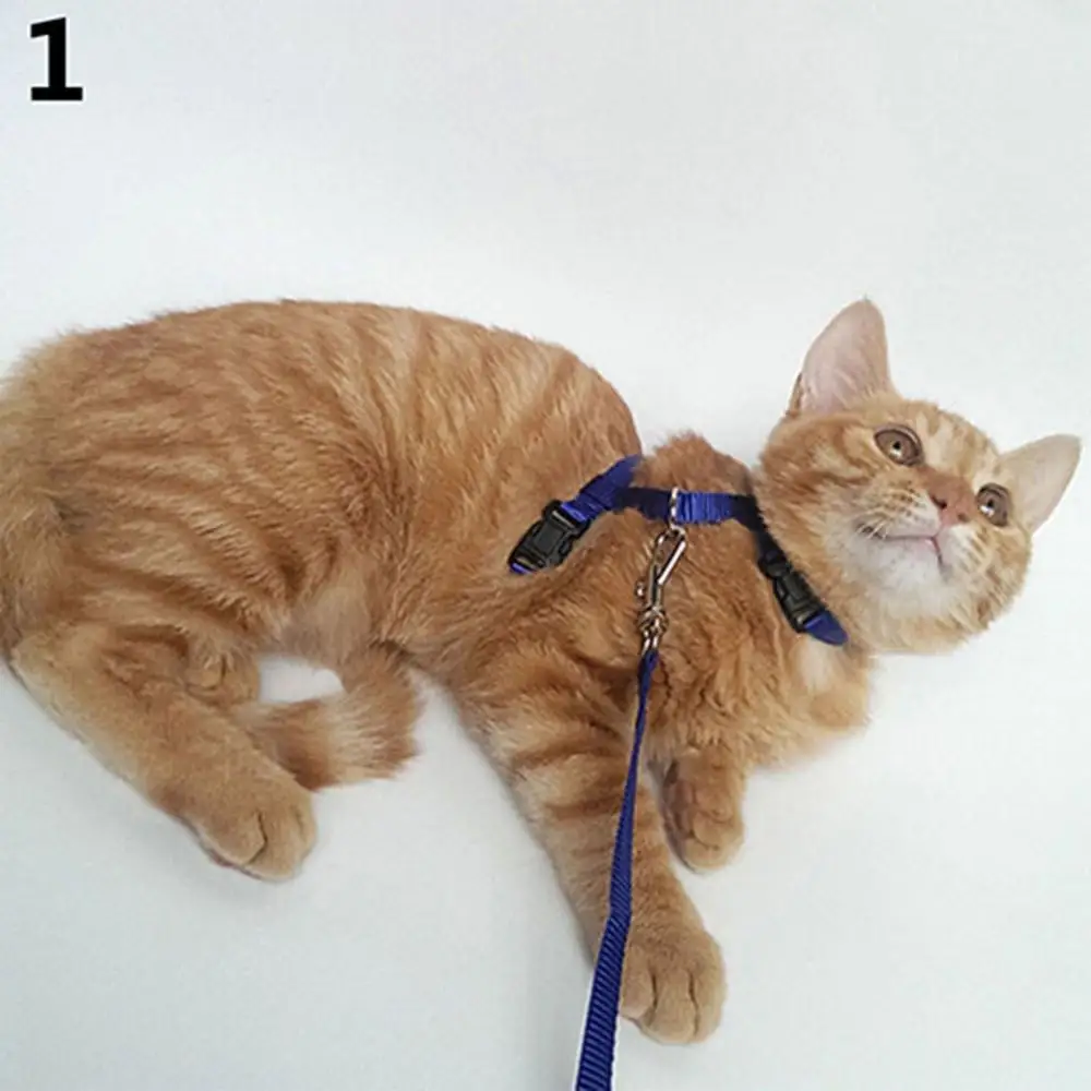 4 Color Adjustable Pet Cat Collar For Cats Cozy Nylon Rabbit Kitten Kedi Harness Leash Set Dog Cat Accessories Products For Pets