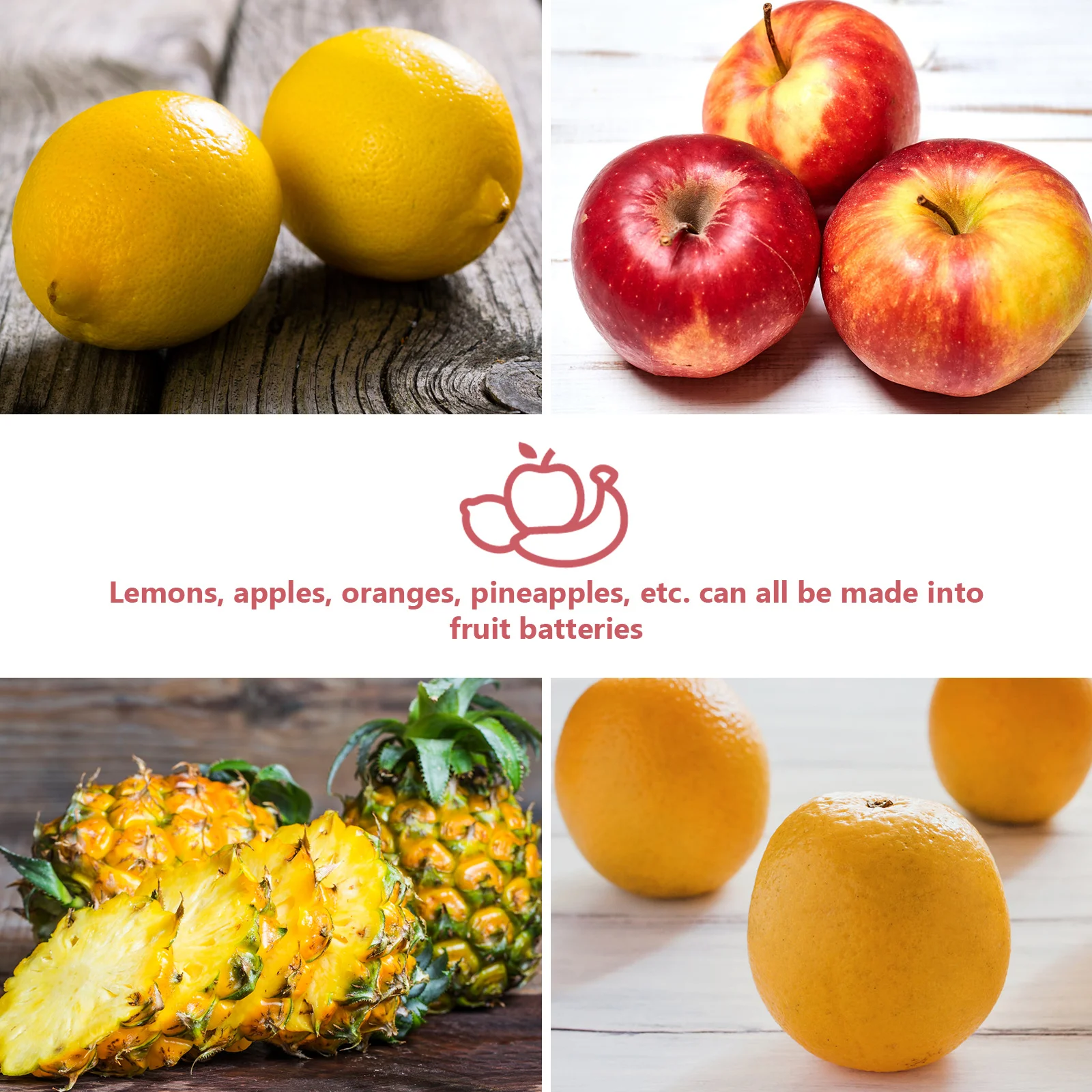 

1 set 1 Set Diy Fruit Science Experiment Kit Educational Physics Project Supplies Student Learning Tool