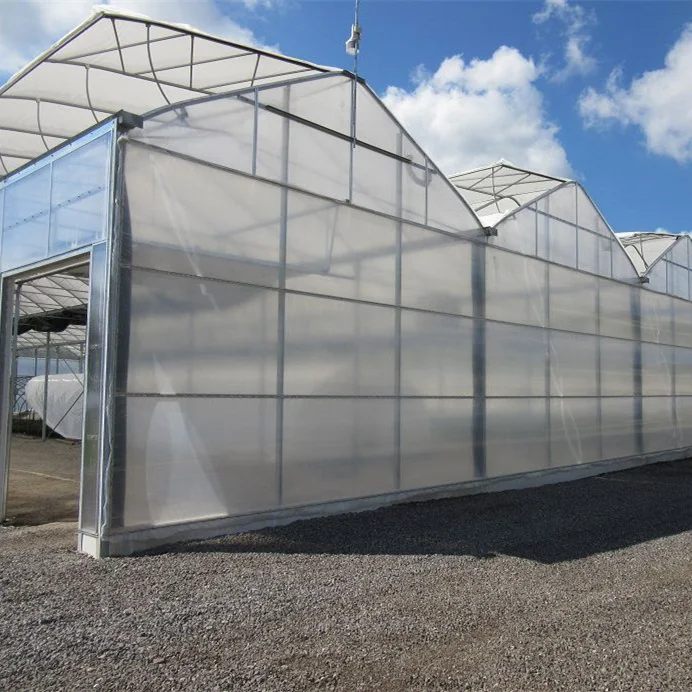 2025 대형 온실 텐트 키트 (정원 식물 재배용, 농업용 완벽한 농업용 온실 제품)