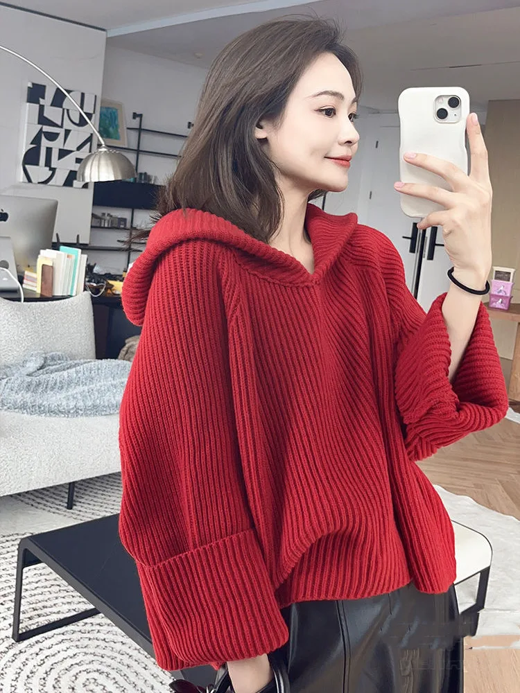 Korean style Long Sleeve Sweater Autumn Winter New Hooede Womens Clothing Pullover Tops Warm Fashion Women Knitwears