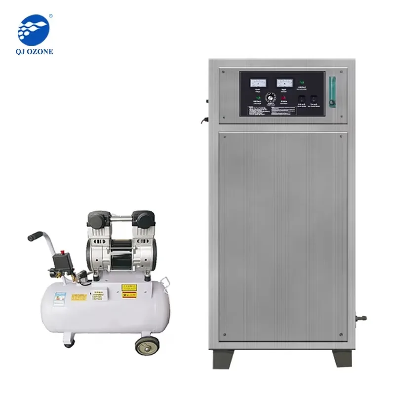 Industrial 40g/h Oxygen Source Pool Ozone Generator Water Treatment Aquaculture Machine Pump Motor Engine 220V 1-Year Factory