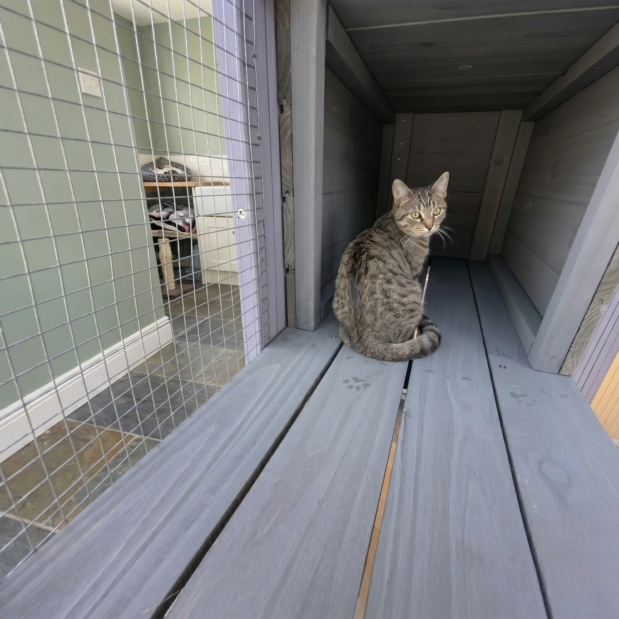 62.6" Wooden Catio for Cats, Large Cat Enclosure with Waterproof cover, 2 Napping House, Platforms & Galvanized Metal Wire – Secure Pet Cage Shelter view 3