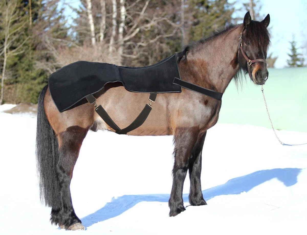 2025 Newest Equine Horse Healing Device Wellness 850nm Red Light Therapy Anti-inflammation Blanket Muscle Treatment Pet Care