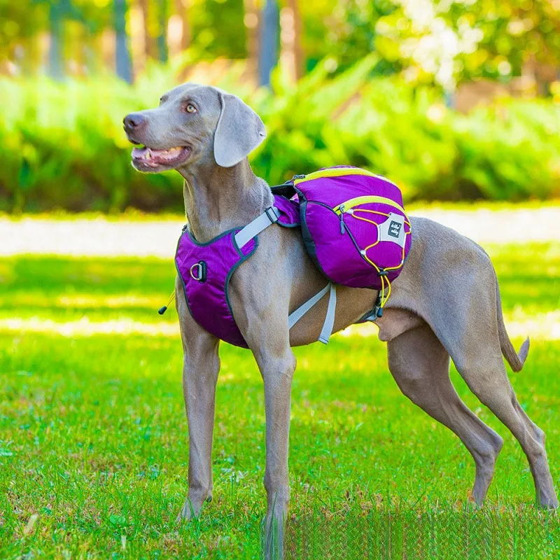 

Dog Supplies Accessories Are For Dogs Self Carrying Large Dog Backpacks Portable Pet Dog Backpacks Towing Ropes For Outdoor Use