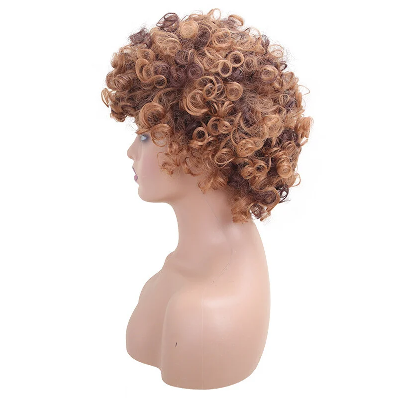 여성 짧은 곱슬 갈색 황금 전체 가발 물결 모양의 머리 자연 파티 가발
