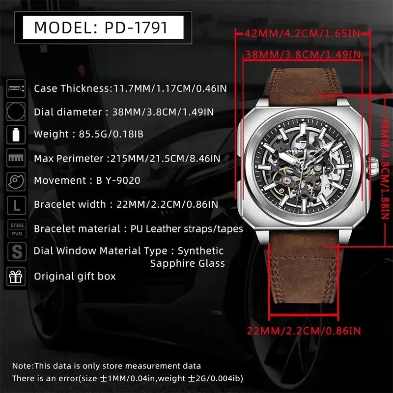 PAGANI DESIGN Men Wristwatch Classic Skeleton Dial Waterproof Luminous Automatic Mechanical Watch Daily Wear