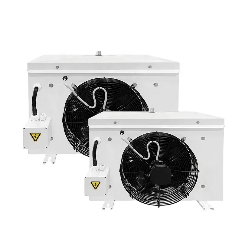 

Low Noise Low Temperature Air Cooler for -25 Degree Frozen Seafood Cold Storage
