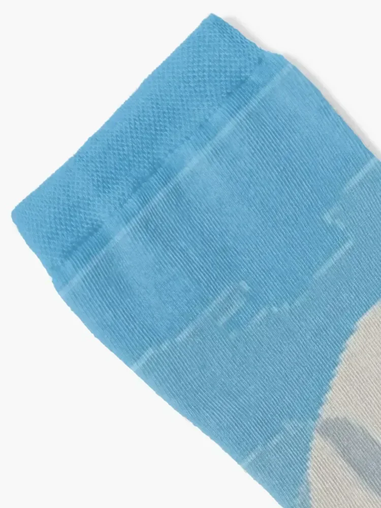 Mount Denali and Lake Vector Painting Socks winter gifts colored cotton set Socks For Girls Men's